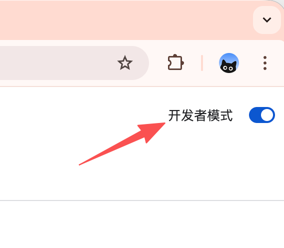 enable-developer-mode
